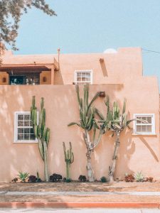 viviana-rishe-1063749-unsplash