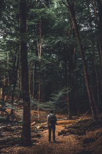 axel-holen-798911-unsplash